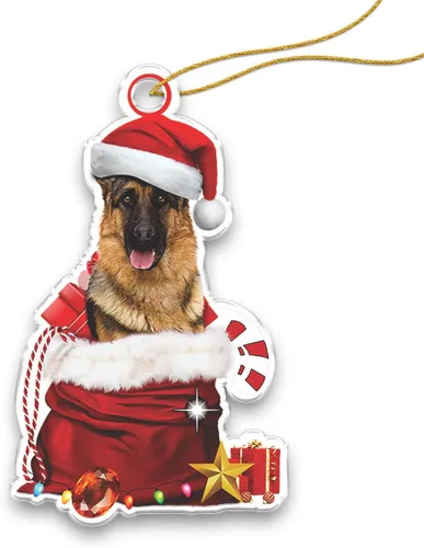 Miniatura 9 de Adorno acrílico plano de Navidad para perro de montaña bernés, adorable cachorro de montaña bernés en calcetín con bastones de caramelo, decoración