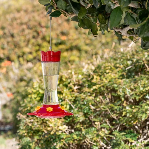 Miniatura 8 de MEKKAPRO Comedero para colibríes para exteriores hecho de vidrio, comedero para colibríes para exteriores, colgante a prueba de hormigas y abejas