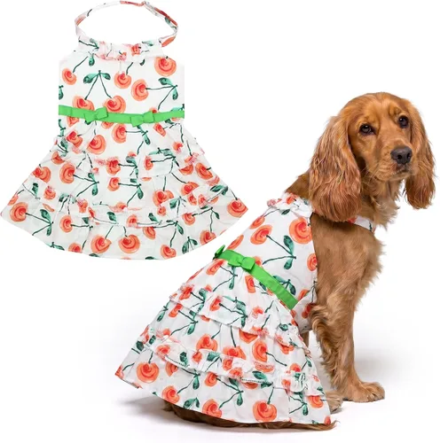 Miniatura 17 de Parisian Pet Chambray - Vestido para perro - Ligero sin mangas para perro, niña, talla XS Chambray en general