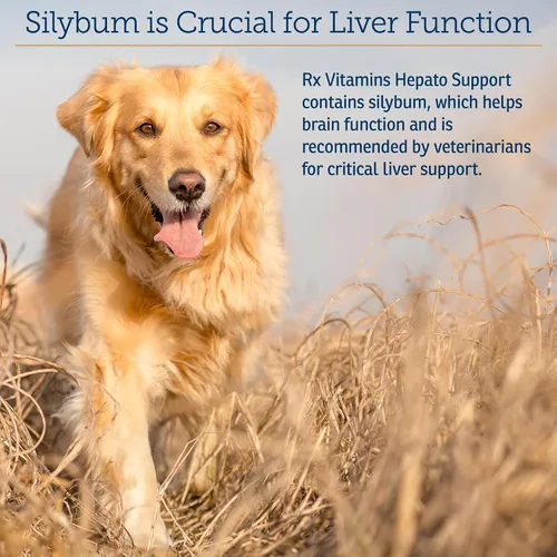 Miniatura 4 de Rx Vitamins Soporte hepato líquido para perros y gatos, suplemento de apoyo hepático con cardo mariano para perros (silimarina y silibinina)
