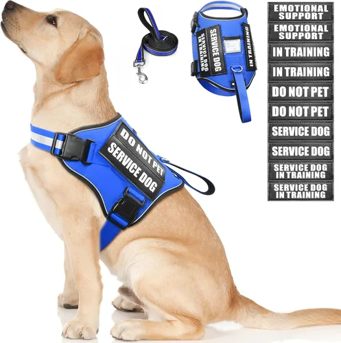 Miniatura 19 de Juego de arnés y correa para perro de servicio, chaleco de entrenamiento para perros con 10 parches para perros, arnés y chaleco para perros de Azul