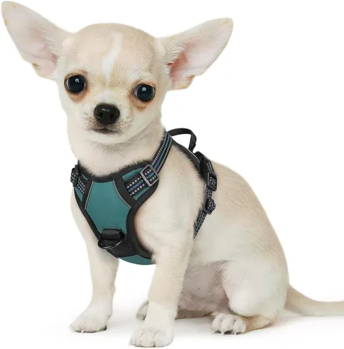 Miniatura 68 de Eagloo Arnés para perro pequeño, sin tirones, chaleco de servicio con tiras reflectantes y asa de control, ajustable y cómodo para caminar, arnés