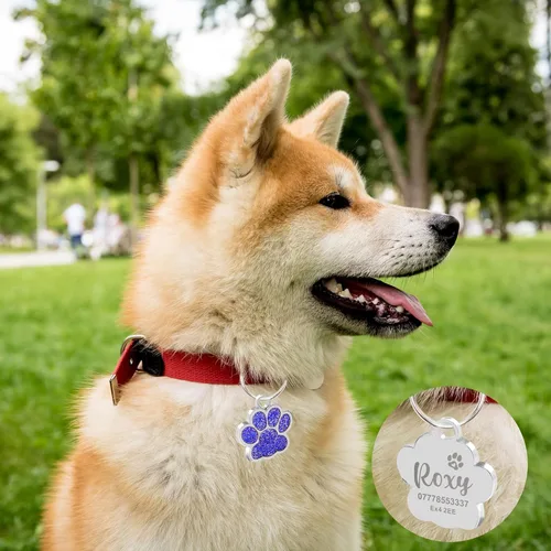 Miniatura 6 de Etiquetas para perros personalizadas para mascotas, etiqueta para perro, etiquetas para gato, etiquetas de nombre de perro personalizadas, etiquetas