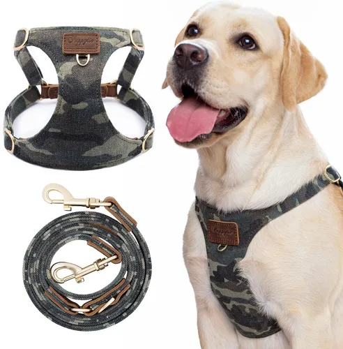 Miniatura 11 de Arnés para Perro, Arnés Sin Tirones para Perros y Conjunto de Correa Multifunción para Perros Medianos Caminata Fácil Diaria Chaleco Arnés