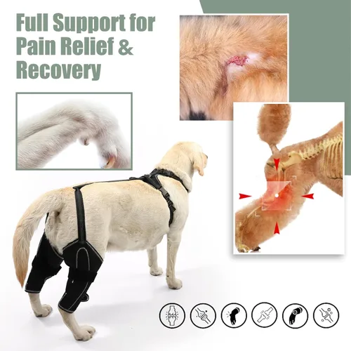 Miniatura 3 de Rodillera para perro para pierna trasera de acl desgarrada para apoyo con lesiones de ligamento cruzado, rótula luxante, artritis, rodillera de acl