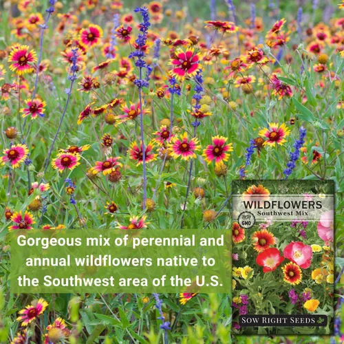 Miniatura 3 de Sow Right Seeds - Mezcla de semillas de flores silvestres para plantar en el suroeste - Variedades tradicionales sin OMG para cultivar un jardín