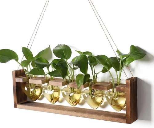 Miniatura 10 de Estaciones de propagación colgantes de terrario para plantas, regalo para mujeres, soporte para plantas de aire con soporte de madera, cristal