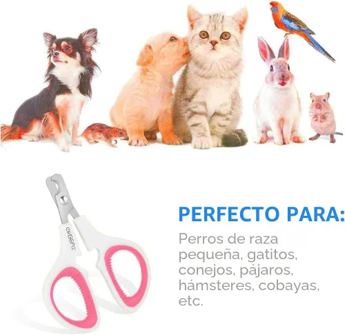 Miniatura 4 de Cortaúñas para mascotas, versión actualizada, cortaúñas para gatos y gatitos, cortaúñas profesional para mascotas, ideal para gatos, cachorros, Rosa