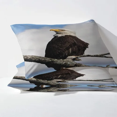 Miniatura 3 de Bald Eagle - Juego de sábanas de tamaño individual, sábanas de pájaros, sábanas y fundas de almohada estampadas de 3 piezas, sábana bajera ajustable