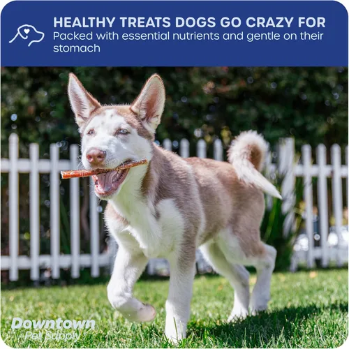 Miniatura 4 de Downtown Pet Supply - Carnazas para perros, carnazas de 15 y 30 cm, fabricadas en Estados Unidos Carnaza para limpieza dental del perro, alta