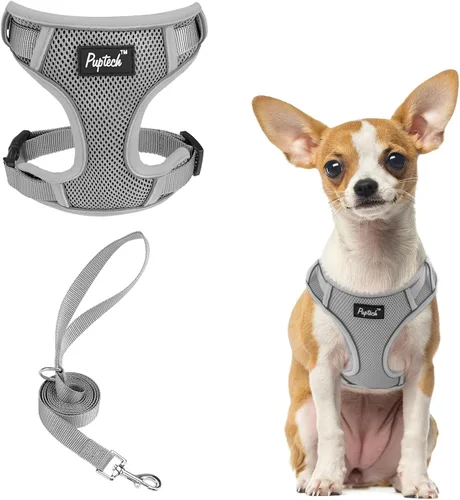 Miniatura 44 de PUPTECK Juego de arnés y correa para perro pequeño, arnés ajustable sin tirones para cachorro, chaleco de malla suave reflectante para mascotas