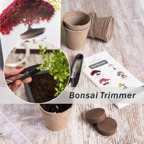 Miniatura 7 de Tijeras de podar bonsái, 12 unidades, pequeñas tijeras de podar brotes y hojas, tijeras de jardín para plantas, cortadoras de jardinería