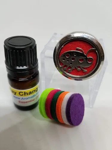(Meditación) Medallón de acero inoxidable difusor de aceite esencial para automóvil de 30 mm con clip de ventilación ambientador de aromaterapia con
