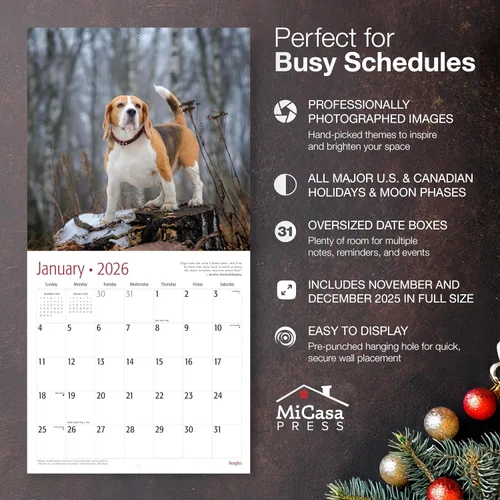 Miniatura 2 de MICASA PRESS Beagles - Calendario de pared 2026 de 12 meses 12 x 24 pulgadas abierto Papel grueso y resistente Regalo Lindo calendario