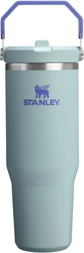 Miniatura 89 de Stanley IceFlow - Vaso con pajilla abatible con asa, de 20 onzas, tapa giratoria y popote abatible, botella de agua resistente a fugas, acero