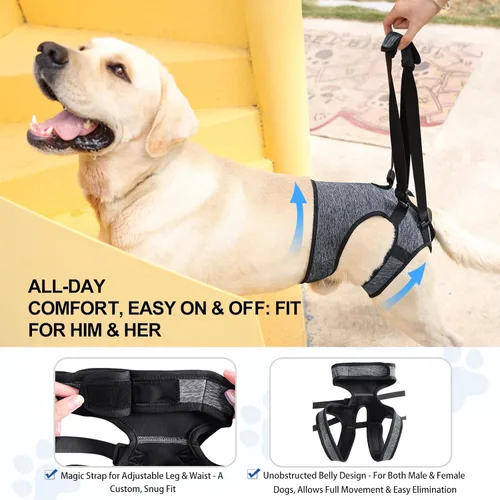 Miniatura 3 de LIANZIMAU Arnés de elevación ajustable para perros grandes, soporte de pierna trasera, soporte de elevación para perros mayores, soporte de Gris