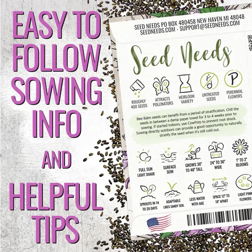 Miniatura 4 de Seed Needs Semillas de bálsamo de abeja para plantar bergamota silvestre, reliquia y flores perennes de polinización abierta para cultivar un jardín