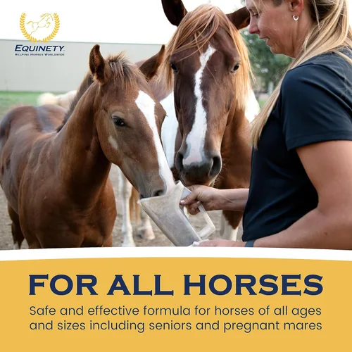 Miniatura 7 de Productos de Equinety Horse