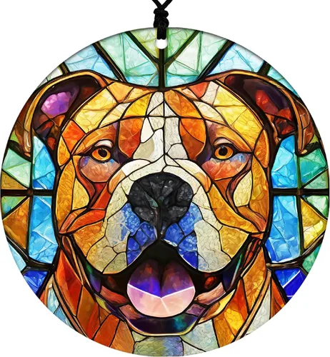 Miniatura 13 de Adorno de Navidad de Pitbull - Adorno colgante deportivo para el hogar con diseño temático de béisbol - Adorno de disco acrílico 2025 para árbol