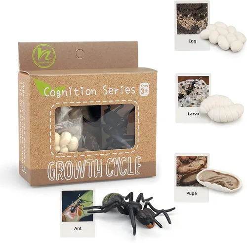 Figuras del Ciclo de Vida de Animales Montessori con Tarjetas Flash, Juguetes de Figuritas de Animales Realistas, Juego Educativo de Emparejamiento