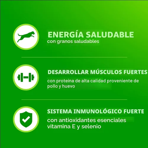 Miniatura 5 de IAMS Proactive Health Adult Minichunks Alimento Seco para Perros receta de Pollo y Granos Integrales, Bolsa de 30 lb