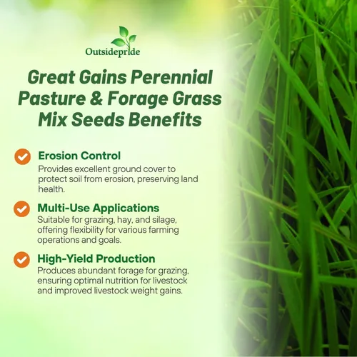 Miniatura 3 de Outsidepride Semillas Great Gains - Semillas perennes, tolerantes a la sequía y al frío, semillas de pasto para plantar hojas de hierba con alto