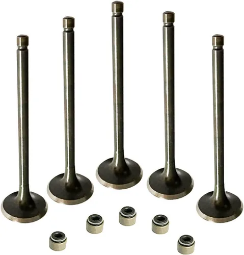 Kit válvula de admisión y escape del motor con sello para Yamaha Raptor 660R 2001~2005 Yamaha Grizzly 660 2002-2008 RHINO 660 2004-2007 HiSun