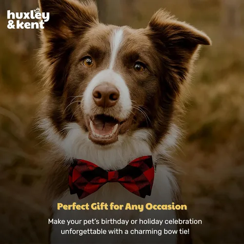 Miniatura 9 de Huxley & Kent Pajarita para mascotas para perros y gatos – Accesorio ajustable para collar de gancho y bucle para vacaciones de otoño – Lindo