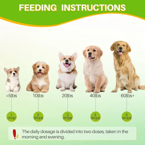 Miniatura 6 de Gotas de aceite de orégano para perros y cachorros, apoyo inmunológico natural para perros, aceite orgánico de gotas de orégano, apoyo para la salud