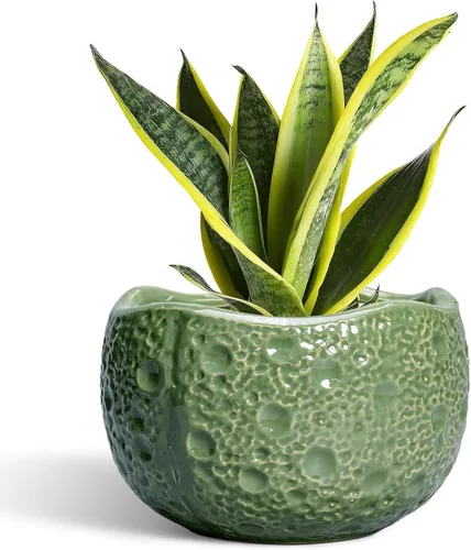 Miniatura 24 de Macetas de Cerámica Thirtypot - Maceta de 4 Pulgadas con Agujero de Drenaje, Macetas Pequeñas para Plantas de Interior y Exterior, Maceta Redonda