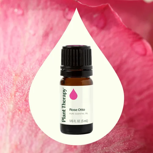 Miniatura 4 de Plant Therapy Aceite esencial Rose Otto 5 mL (1/6 oz) 100% puro, sin diluir, aromaterapia, cuidado de la piel, relajante y romántico aroma