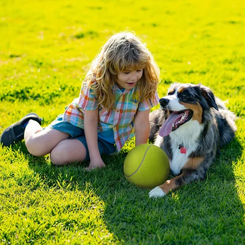 Miniatura 8 de INSUM Pelota de tenis gigante de 9.5 pulgadas, pelota de juguete grande para perros para jugar al aire libre, cumpleaños para perros grandes, ideal