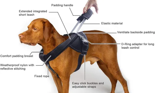 Miniatura 5 de Yogadog– Arnés resistente para perro, evita tirones, acolchado con correa integrada extendida epecial, costuras reflectantes, especial para perros