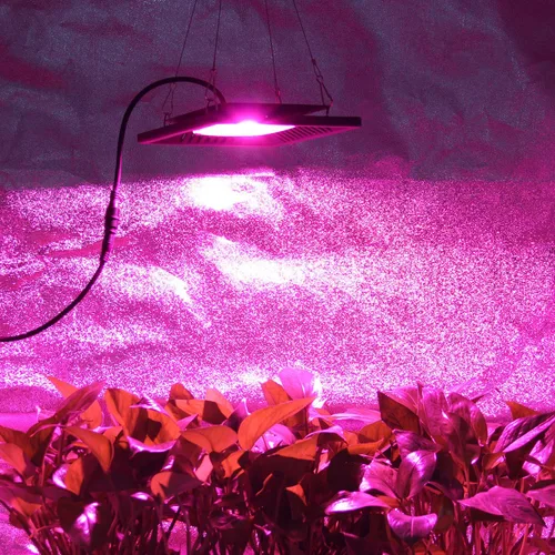 Miniatura 7 de Luz LED impermeable de 100 W de espectro completo, luz LED COB de nueva tecnología, disipación de calor natural sin ruido, adecuado para plantas