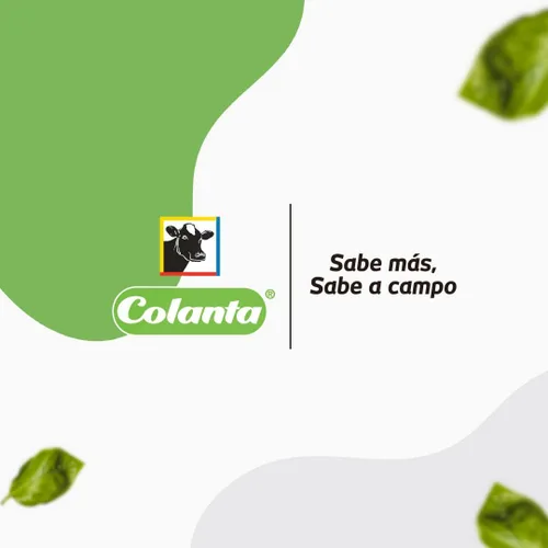Miniatura 3 de Leche en polvo (1 paquete) leche en polvo entera colanta leche en polvo entera en bolsa leche en polvo colanta colombiana