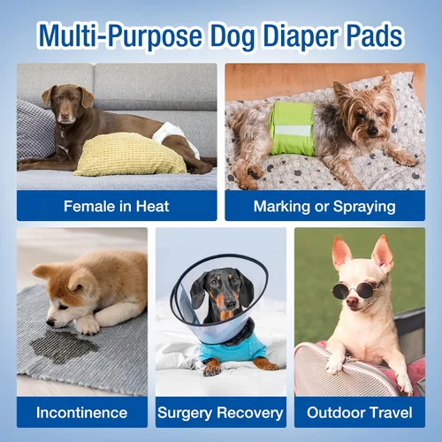 Miniatura 6 de Pet Soft Forros desechables para pañales para perros, almohadillas elevadoras para la mayoría de los pañales lavables para perros y bandas