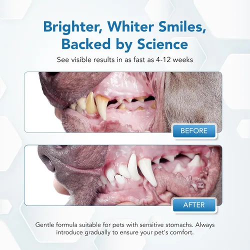 Miniatura 3 de Polvo Dental para Perros - Control de Placa y Eliminador de Sarro, Refrescante del Aliento con Probióticos, Vitaminas y Extractos Naturales - Polvo