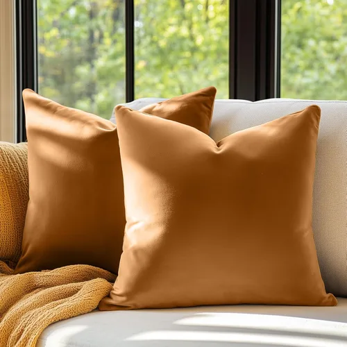 Lazzzy Fundas de almohada de terciopelo marrón de 18 x 18 pulgadas, fundas de almohada decorativas para sofá, cama, sofá, silla, funda de cojín
