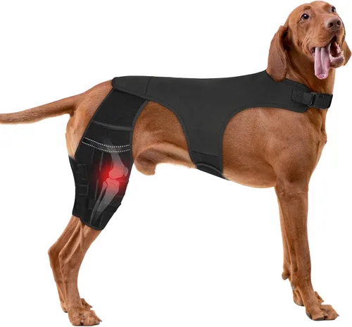 Miniatura 10 de Rodillera ajustable para perro para recuperación de desgarro y artritis del ligamento cruzado anterior - Soporte de patas traseras dobles