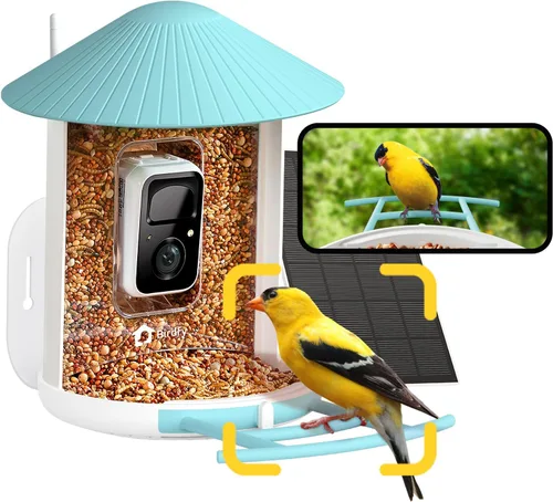 NETVUE by Birdfy - Comedero inteligente para pájaros con cámara, AI identifica especies de aves, visión nocturna de 2 MP y alertas de aplicaciones,