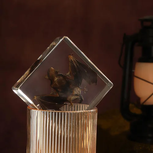 Miniatura 4 de Murciélago de taxidermia, especímenes de murciélago reales en resina para educación científica en el aula, gran regalo para fanáticos