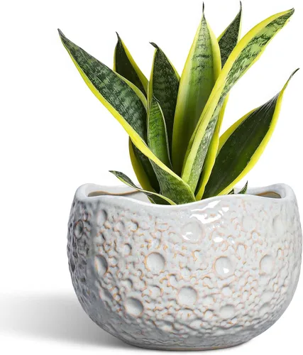 Miniatura 22 de Macetas de Cerámica Thirtypot - Maceta de 4 Pulgadas con Agujero de Drenaje, Macetas Pequeñas para Plantas de Interior y Exterior, Maceta Redonda