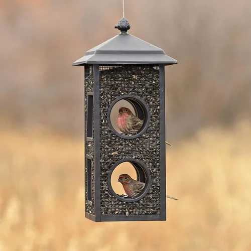 Miniatura 5 de Perky-Pet B00303 Comedero para pájaros silvestres con vuelo