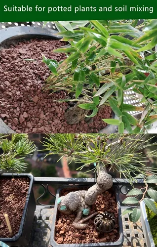 Miniatura 2 de Tierra de arcilla calcinada hortícola para bonsái, aditivo de tierra para cactus y suculentas (2.7 KG, 0.3 cm)