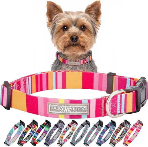 Miniatura 80 de Lucky Love Dog - Collar para perras pequeñas, diseño Blackbird de estampado alegre con flores de primavera y verano, talla XS