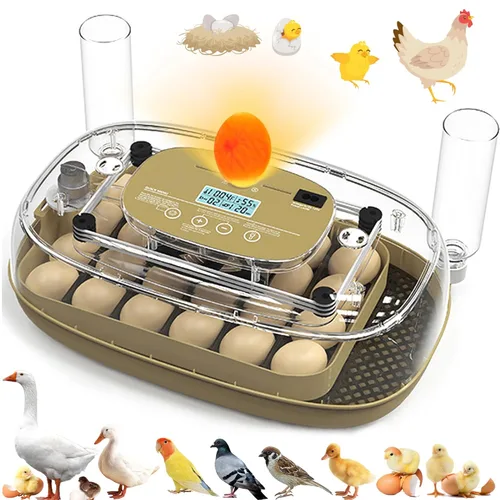 Syluris Incubadoras para incubar huevos, incubadora de 24 huevos con giro automático de huevos y control de humedad, vela de huevos, visualización