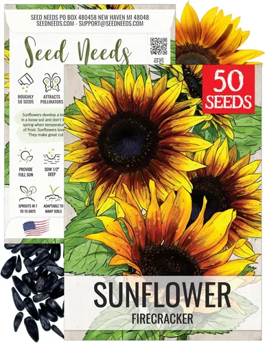 Miniatura 66 de Seed Needs Semillas de girasol para plantar girasoles de manchas solares enanas, semillas de flores de corte anual de polinización abierta