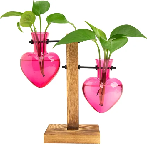 Miniatura 10 de HUABEI - Terrario con soporte de madera para plantas, globo de cristal para maceta, jarrón giratorio de metal, soporte de mesa retro