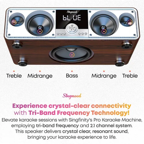 Miniatura 5 de Máquina de karaoke con 2 micrófonos UHF, subwoofer, barra de sonido de audio para cine en casa, compatible con óptico/Bluetooth/AUX/USB/PC, máquina