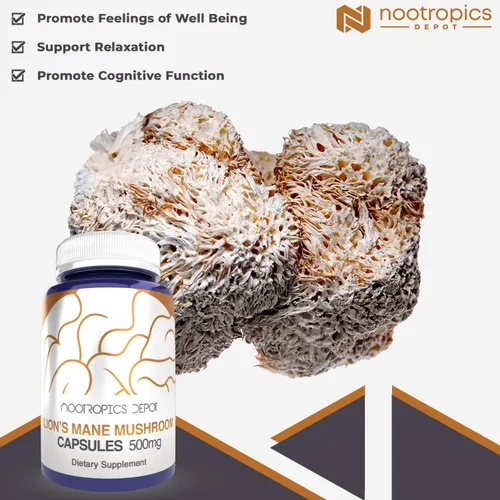 Miniatura 5 de Nootropics Depot Cápsulas de hongos melena de leones 500 mg 180 unidades Hericium erinaceus Extracto de hongos fructíferos Suplemento